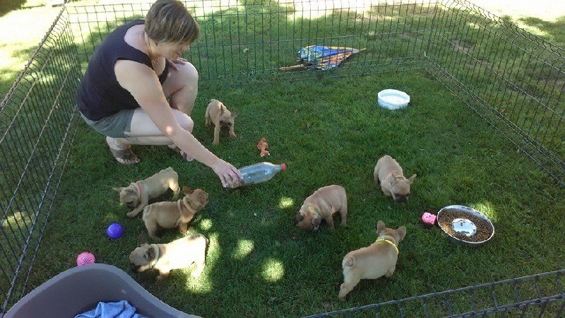 Les bébés d'hesmé... nés le 12/07/2014