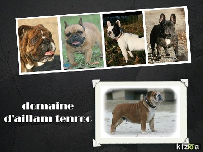 Du Domaine D'aillam Tenroc
